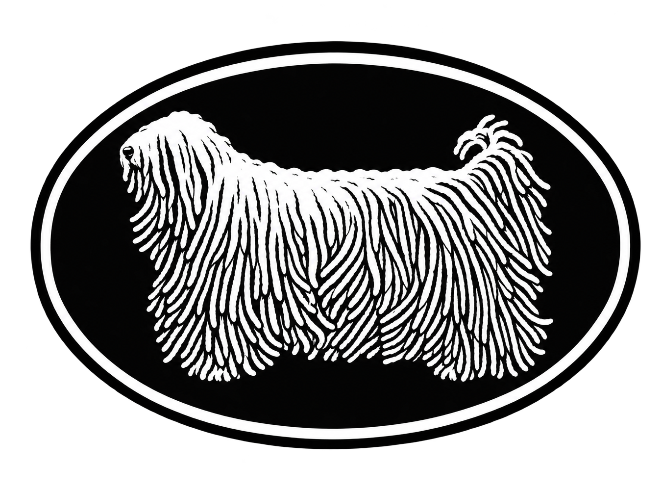 Komondor Club of America