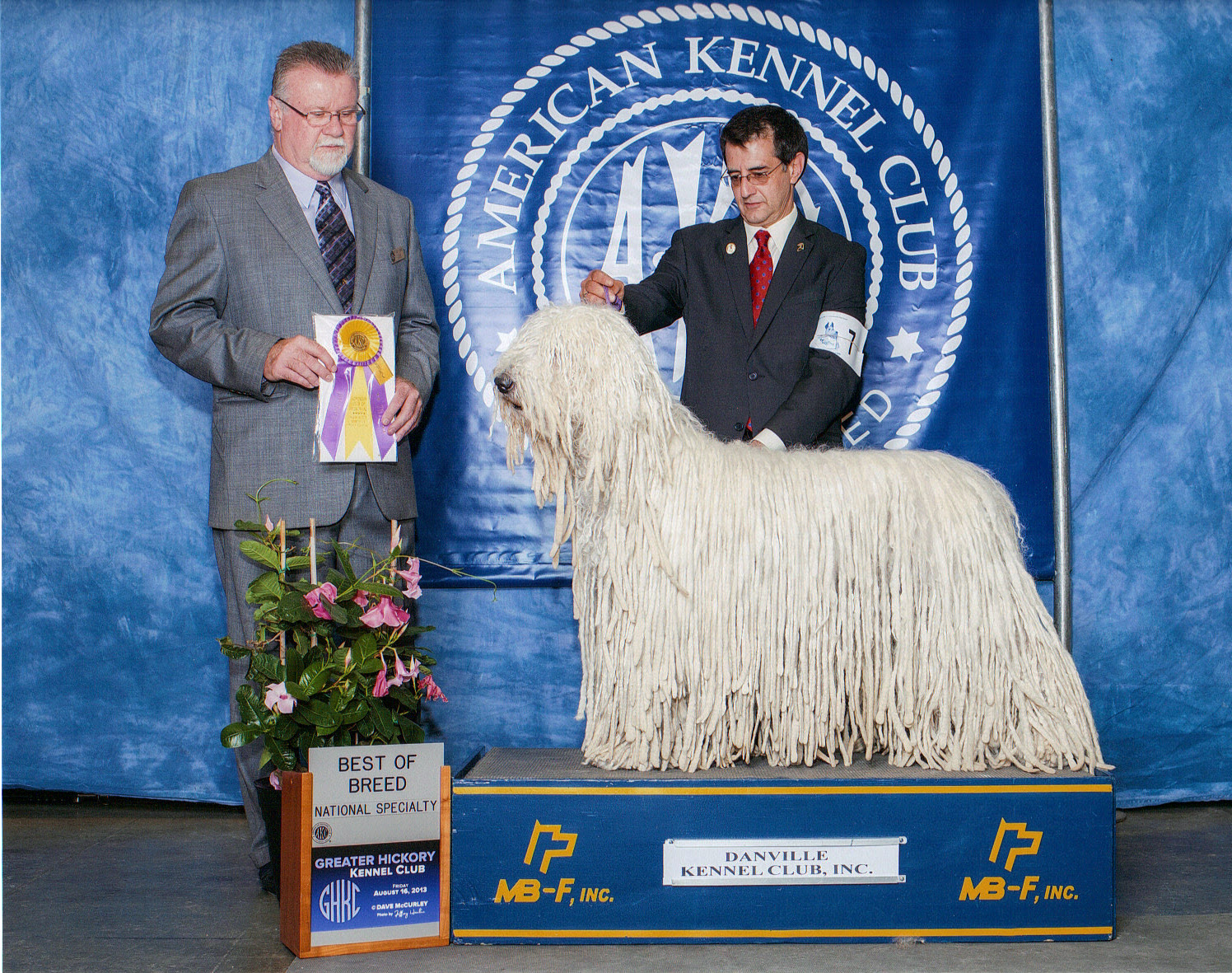 GCh. Nagyalma Unforgettable Too (“Cole”)