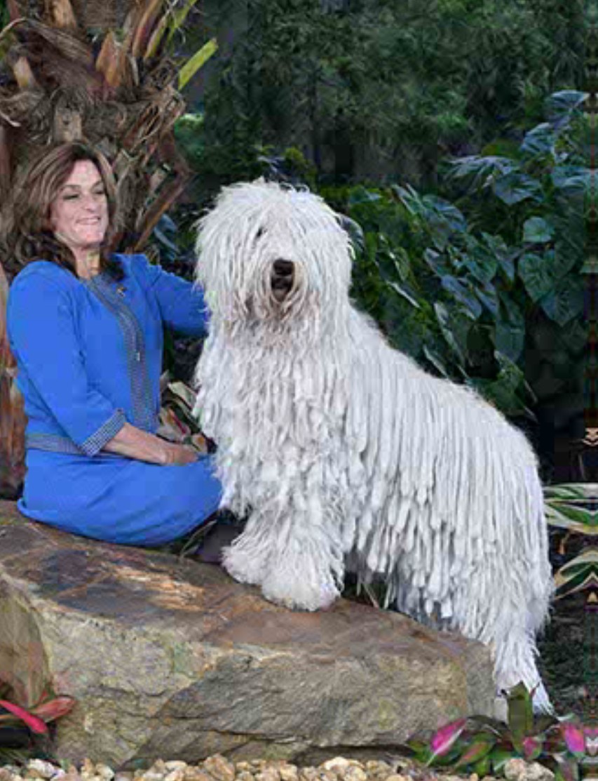GCh. Nagylama Bbetty Boop (“Betty”)