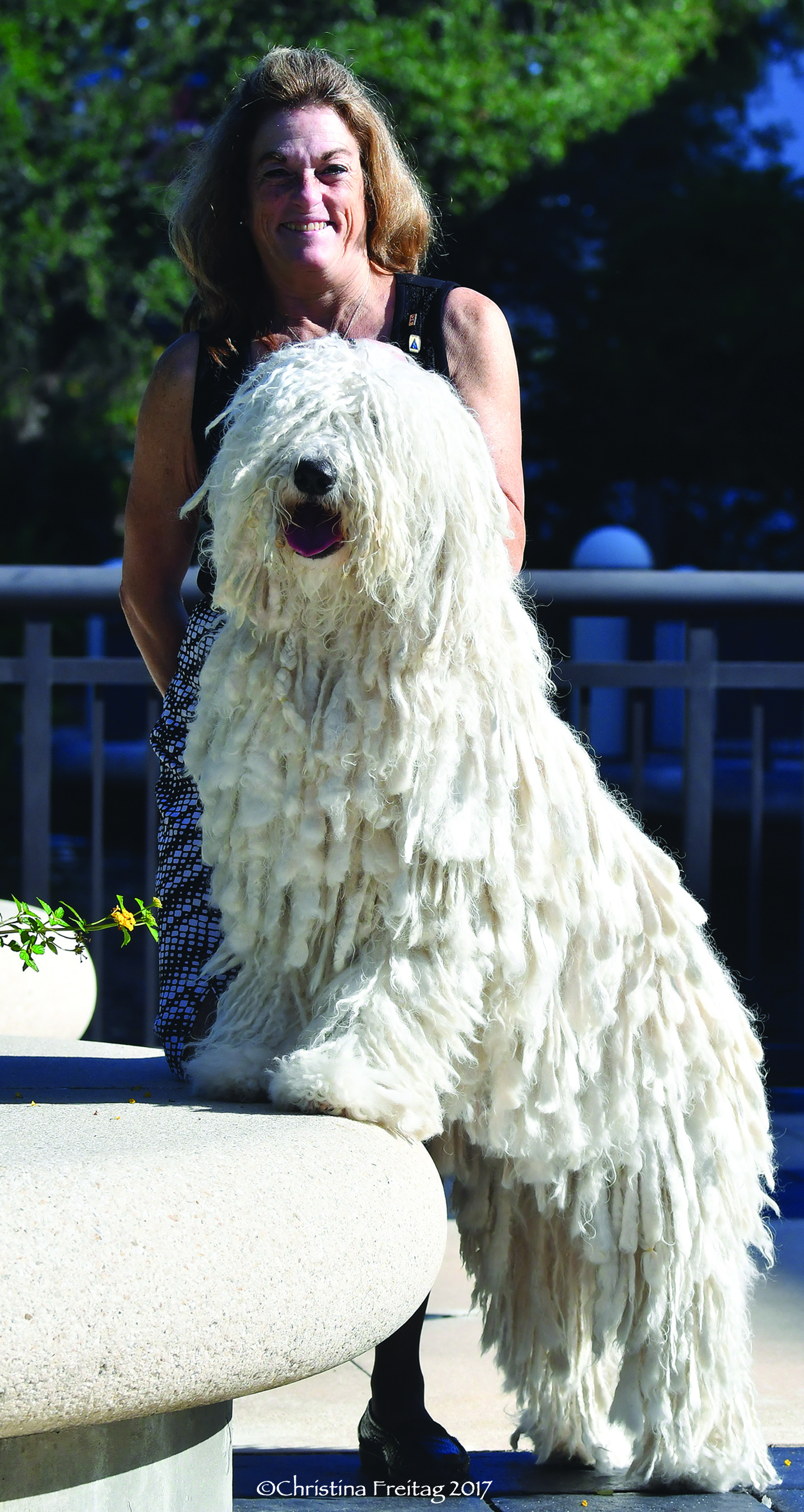 GCh. Nagylama Bbetty Boop (“Betty”)